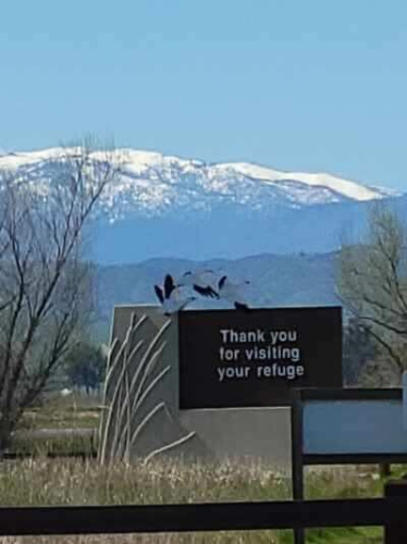 March POTA (March 17, 2024)