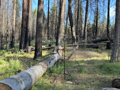 Summer Field Day (June 23-25 2023)