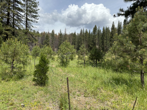 Summer Field Day (June 23-25 2023)