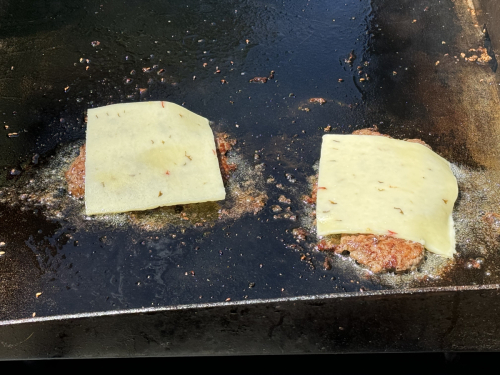 POTA (US-3423) Colusa-Sac River State Rec Area