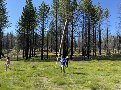 Summer Field Day 2024 @ Squaw Camp