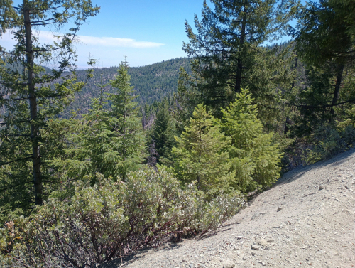 Summer Field Day 2024 @ Squaw Camp